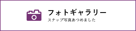 柄シャツ着こなしフォトギャラリー