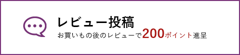 レビュー投稿